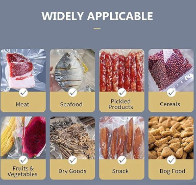 Food Vacuum Sealer